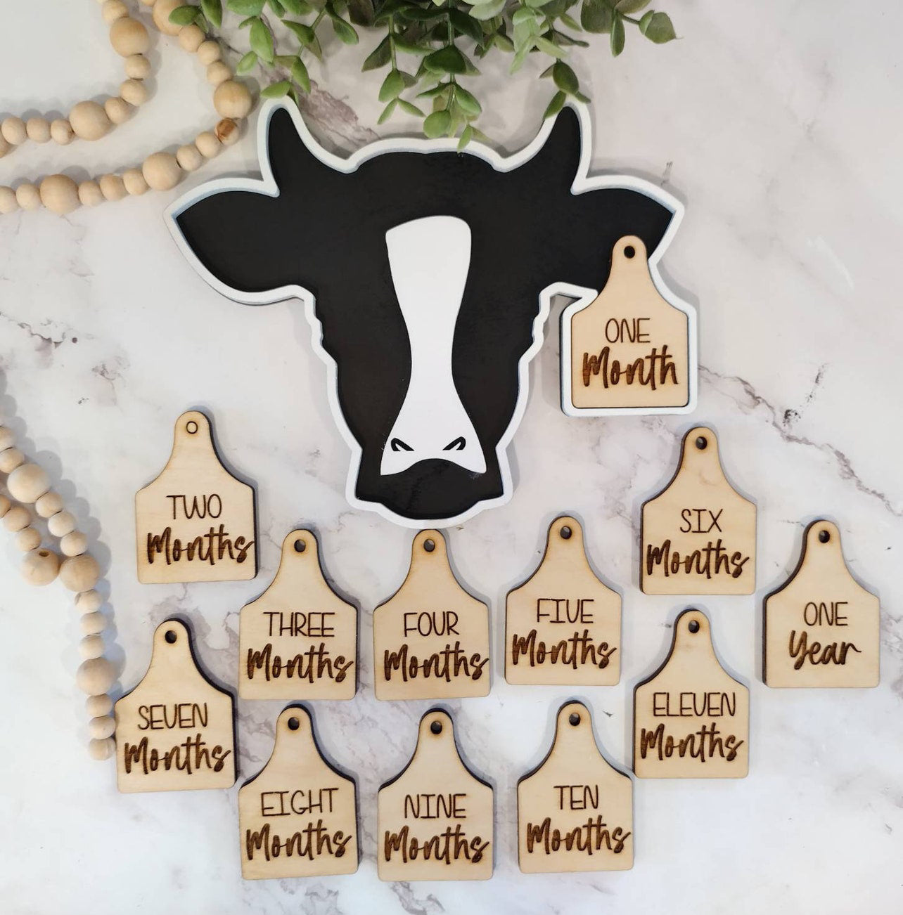 Baby Cow Milestone moments cow Tags