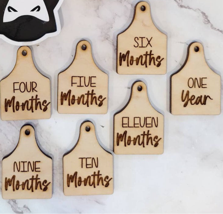 Baby Cow Milestone moments cow Tags