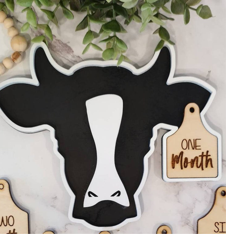 Baby Cow Milestone moments cow Tags