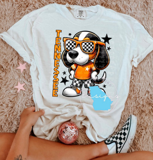 Tennesse graphic tee