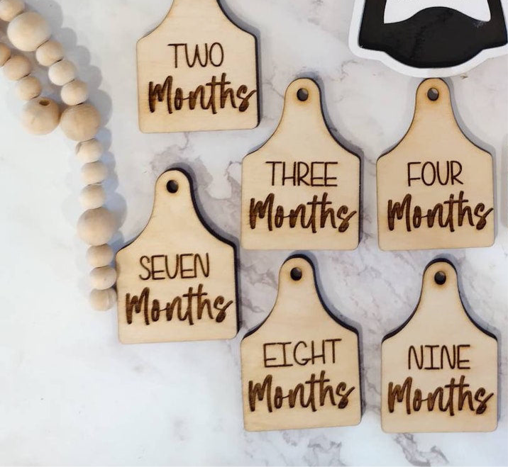 Baby Cow Milestone moments cow Tags